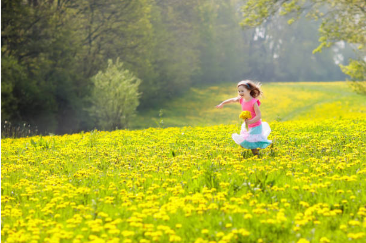 Untitled design (15)